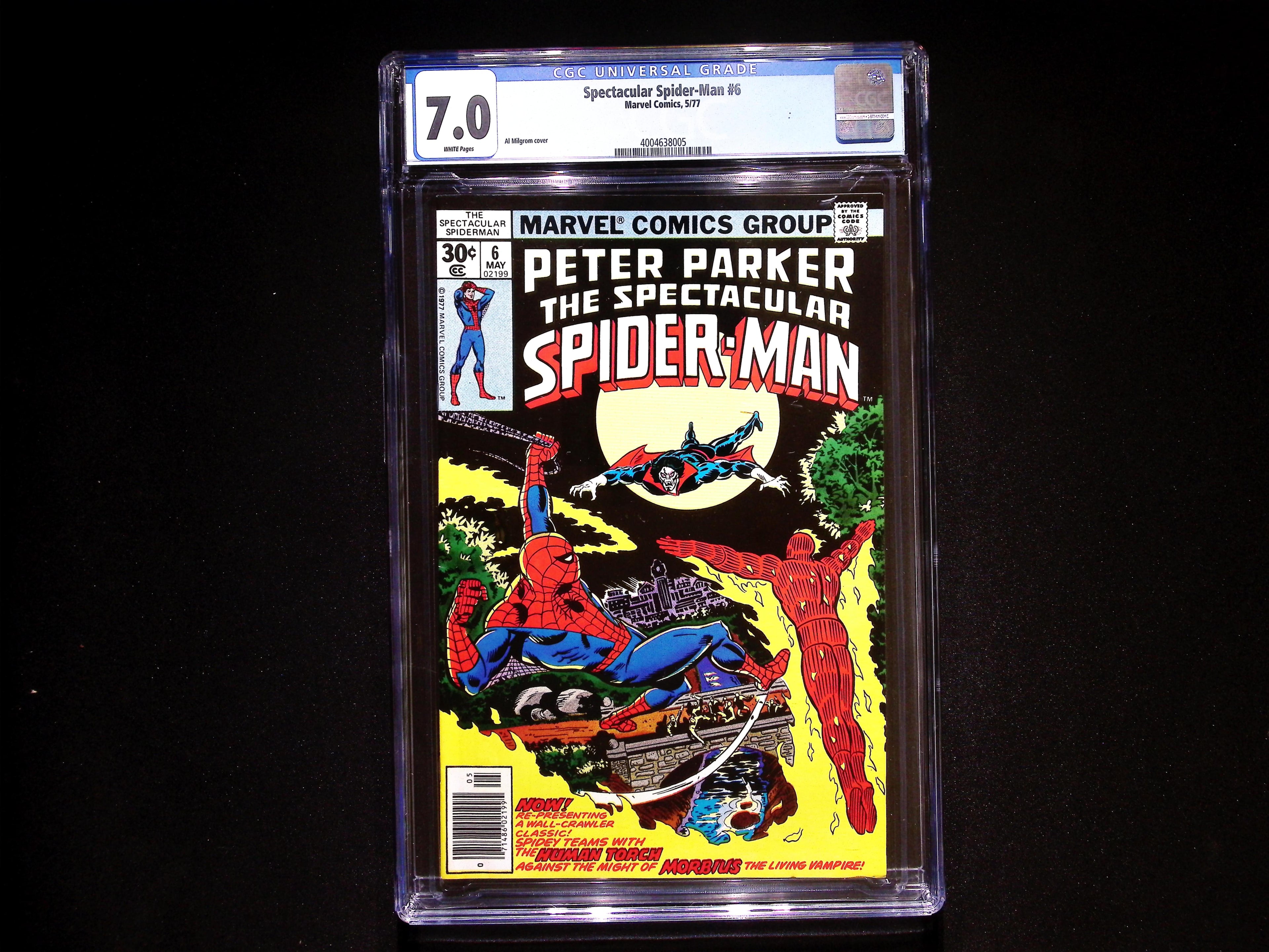 Spectacular Spider-Man #6 CGC 7.0 - White Pages